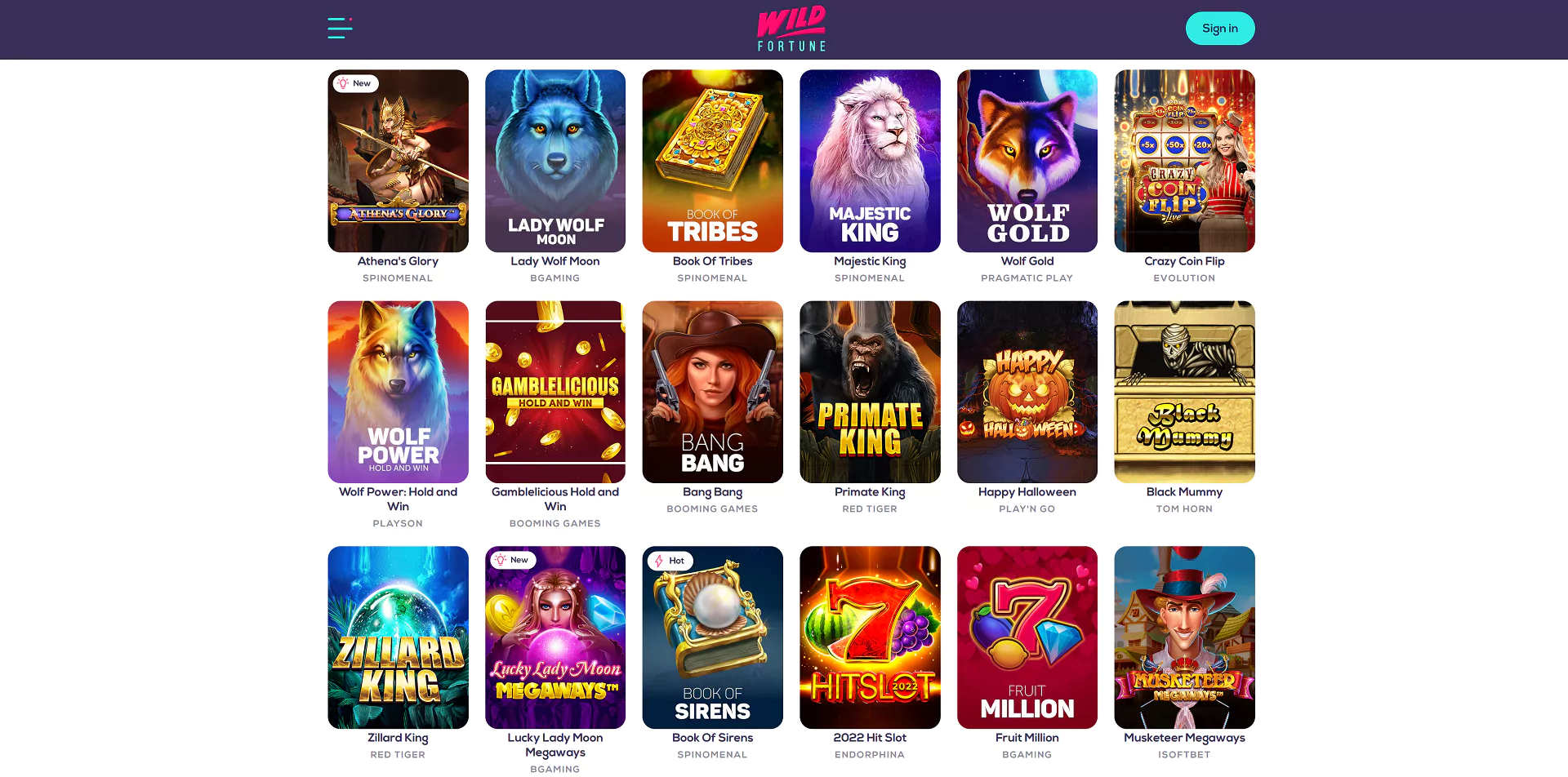 Screenshot of the Wild Fortune Casino Games